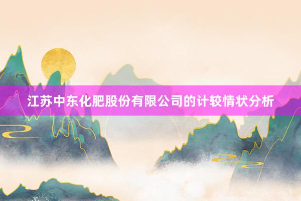 江苏中东化肥股份有限公司的计较情状分析