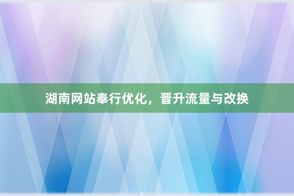 湖南网站奉行优化，晋升流量与改换