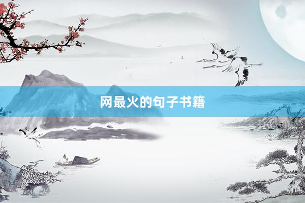 网最火的句子书籍