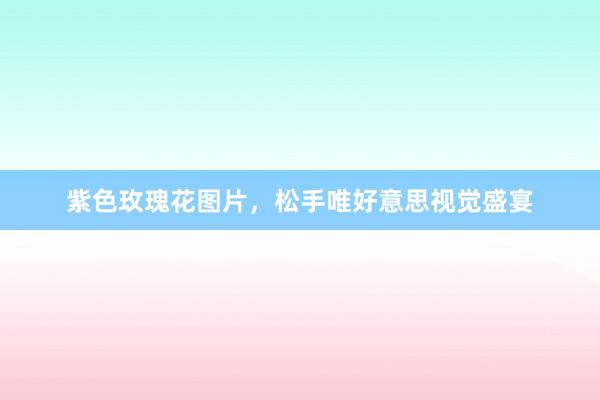 紫色玫瑰花图片，松手唯好意思视觉盛宴