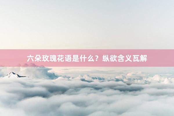 六朵玫瑰花语是什么？纵欲含义瓦解